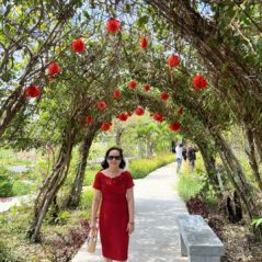 Thu Hà, 56 tuổi, Quận Gò Vấp, Việt Nam