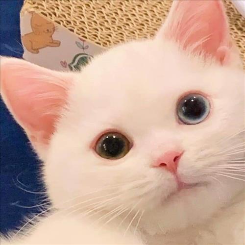 Minh, 19 tuổi, Quận 1, Việt Nam