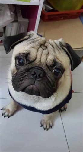 Hùng, 27 tuổi, Quận 1, Việt Nam