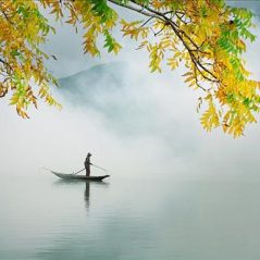 Sầu Đông, 36 tuổi, Tìm người kết hôn, Gay, Nha Trang, Khánh Hòa