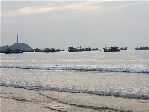 Nguyễn Hoàng Bình, 22 tuổi, Quận 1, Việt Nam