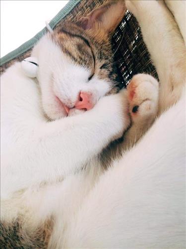 Pete, 19 tuổi, Quận 1, Việt Nam