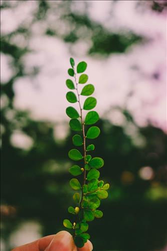 bi, 20 tuổi, Quận 1, Việt Nam