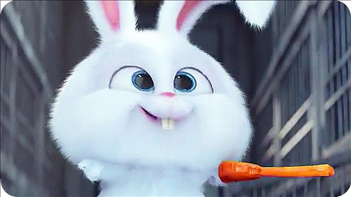Snowball, 20 tuổi, Quận 1, Việt Nam