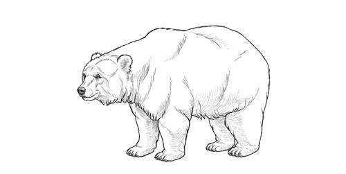 Bear96, 24 tuổi, Quận 1, Việt Nam