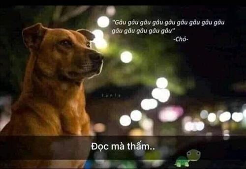 Tui, 28 tuổi, Quận 1, Việt Nam