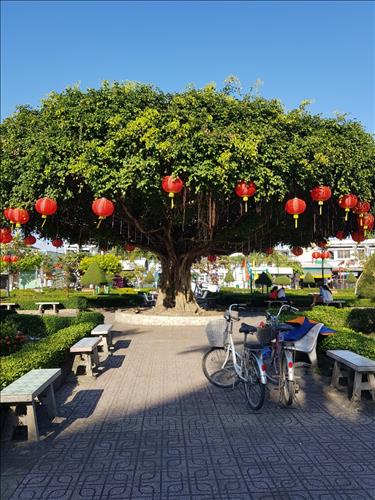 Thành, 25 tuổi, Quận 1, Việt Nam