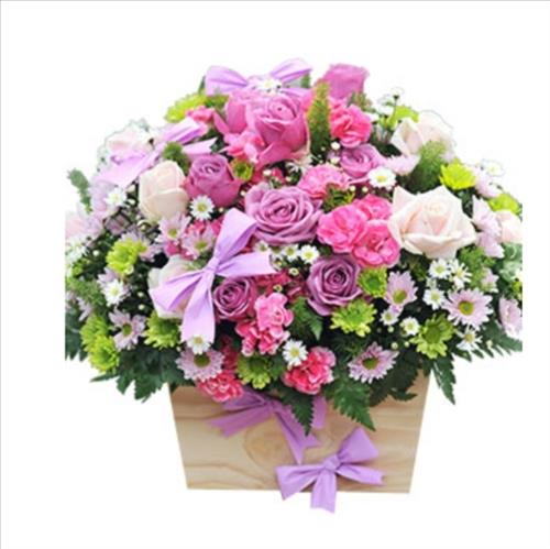 SAKURA Tran, 35 tuổi, Quận 1, Việt Nam