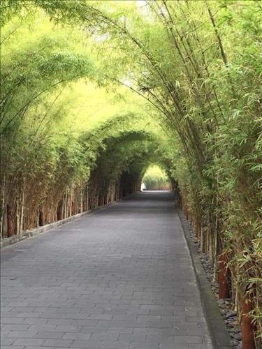 Kh, 47 tuổi, Nha Trang, Việt Nam