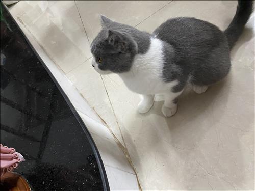 Khoi Tran, 27 tuổi, Quận 1, Việt Nam