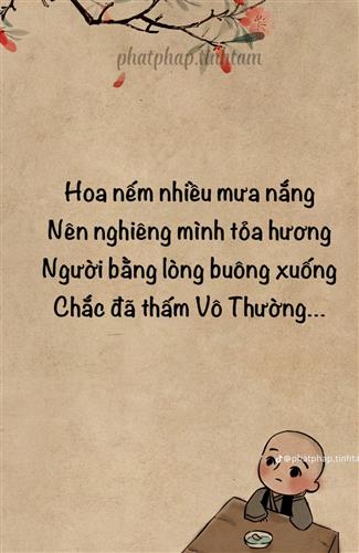 H. Nhat, 37 tuổi, Quận Ninh Kiều, Việt Nam