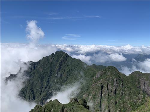 C Vu, 29 tuổi, Quận 1, Việt Nam