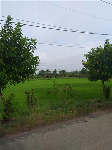 NGUYỄN THANH NHẪN, 50 tuổi, Quận 1, Việt Nam