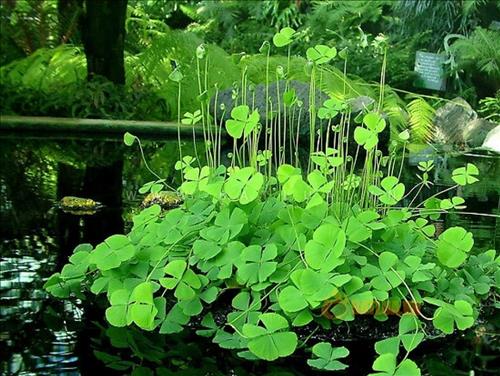 lan nhi, 22 tuổi, Quận 1, Việt Nam