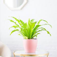 Nắng, 28 tuổi, Quận 1, Việt Nam