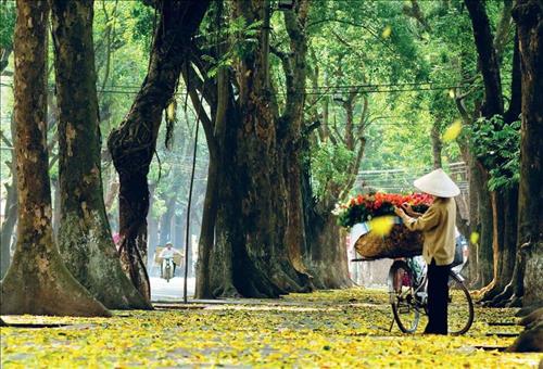 Hoa May, 36 tuổi, Quận Ba Đình, Việt Nam