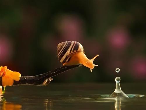 Pinky, 29 tuổi, Quận Ba Đình, Việt Nam
