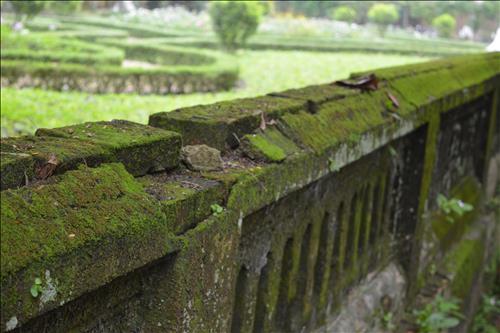 Thanh Nguyễn, 27 tuổi, Quận 1, Việt Nam