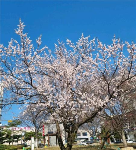 Binhyen, 32 tuổi, Quận 1, Việt Nam