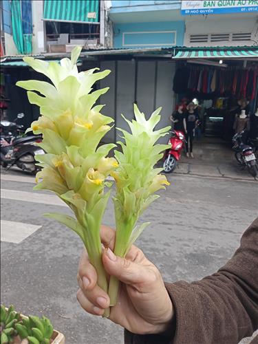 Bảo--- (Mk14), 30 tuổi, Quận 1, Việt Nam