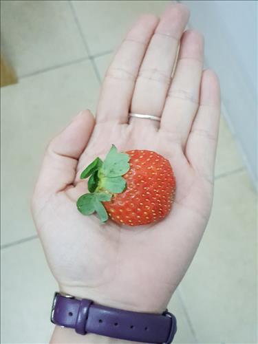 An Nhiên, 29 tuổi, Quận 1, Việt Nam