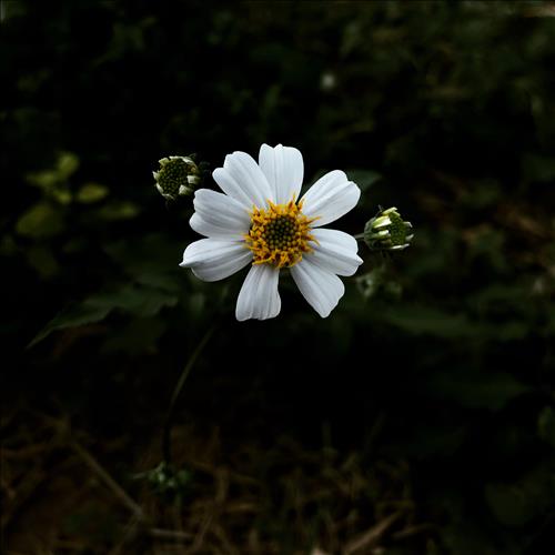 Nothing, 36 tuổi, Phan Thiết, Việt Nam