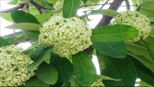 Tt, 34 tuổi, Quận Ba Đình, Việt Nam