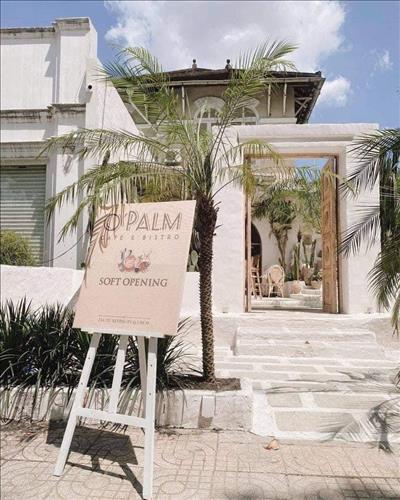 L, 24 tuổi, Quận 1, Việt Nam