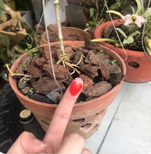 Khê Khê, 25 tuổi, Quận 1, Việt Nam