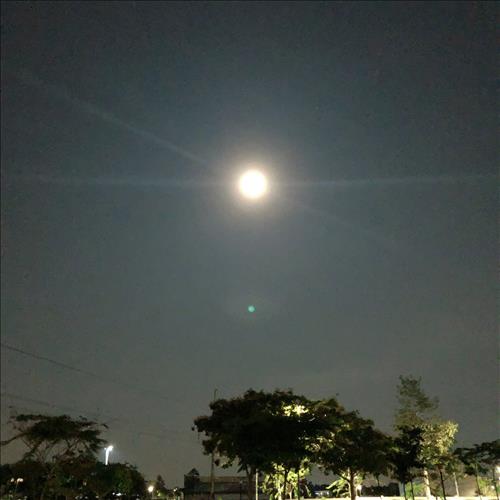 Nhã Lam, 37 tuổi, Quận 1, Việt Nam