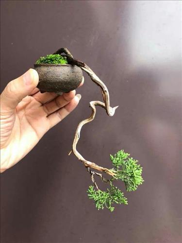Dii, 29 tuổi, Quận Ninh Kiều, Việt Nam