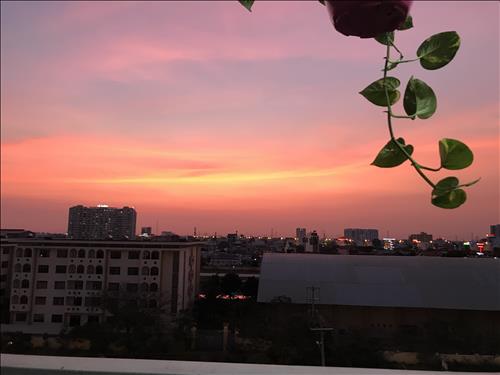 Anna, 30 tuổi, Quận 1, Việt Nam