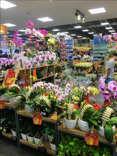 Vòng tay ấm, 52 tuổi, Quận 1, Việt Nam