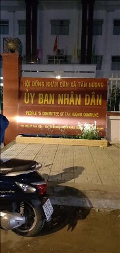 Bông tím, 30 tuổi, Quận 1, Việt Nam