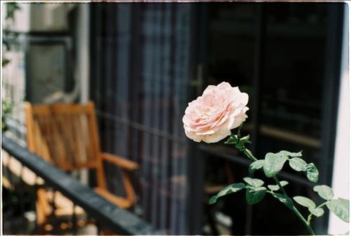 Misanthrope, 36 tuổi, Quận 1, Việt Nam