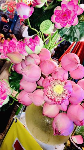 Lạc lối, 35 tuổi, Quận 1, Việt Nam