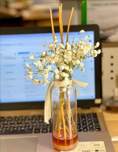 TNT, 28 tuổi, Quận 1, Việt Nam