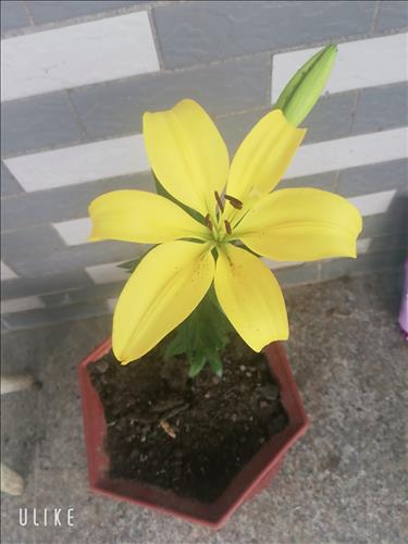 TIÊN, 28 tuổi, Quận 1, Việt Nam