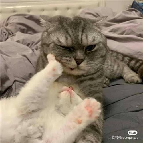 hạ, 23 tuổi, Quận Ba Đình, Việt Nam