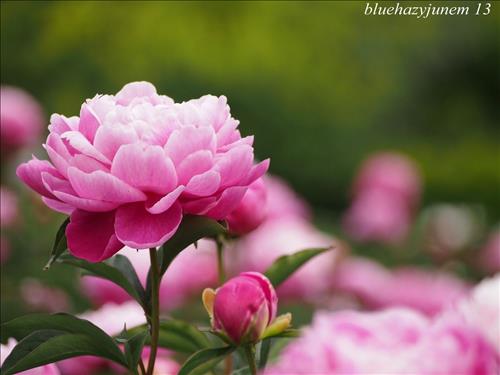 Oanh, 21 tuổi, Quận Ba Đình, Việt Nam