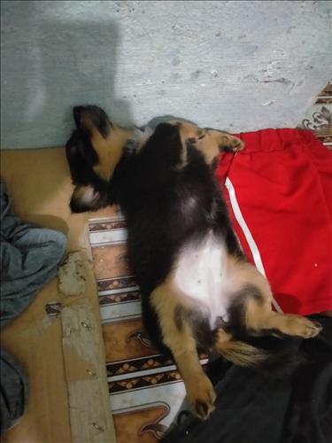 Thao Le, 25 tuổi, Quận 1, Việt Nam