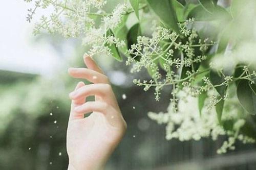 Bất chợt, 34 tuổi, Quận 1, Việt Nam