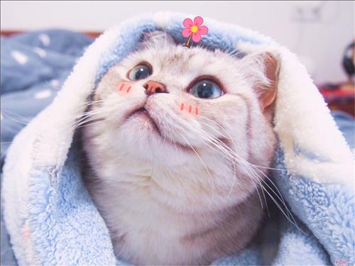 Di._., 22 tuổi, Quận 1, Việt Nam