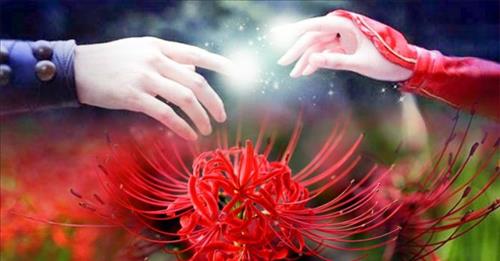 Thanh, 31 tuổi, Biên Hòa, Việt Nam