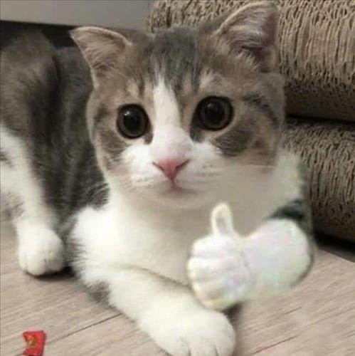 Em còn non và xanhhh, 18 tuổi, Quận Ninh Kiều, Việt Nam