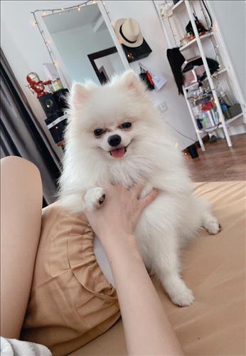 Bii, 24 tuổi, Quận 1, Việt Nam