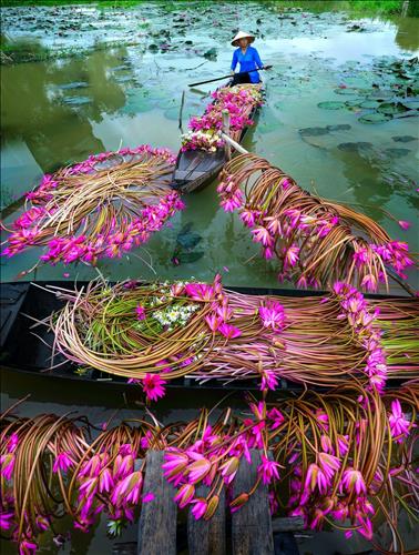 Hien, 39 tuổi, Quận 1, Việt Nam