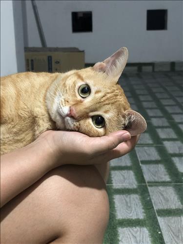 Trinh Phan, 22 tuổi, Quận 1, Việt Nam