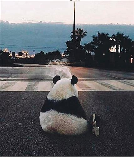yolooo, 25 tuổi, Quận Ba Đình, Việt Nam