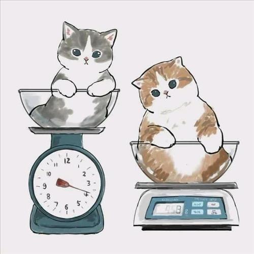 Sam Sam, 33 tuổi, Quận 1, Việt Nam